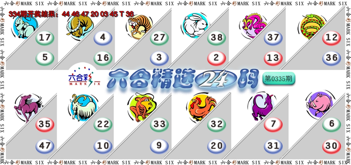 2024335期六合精选24码