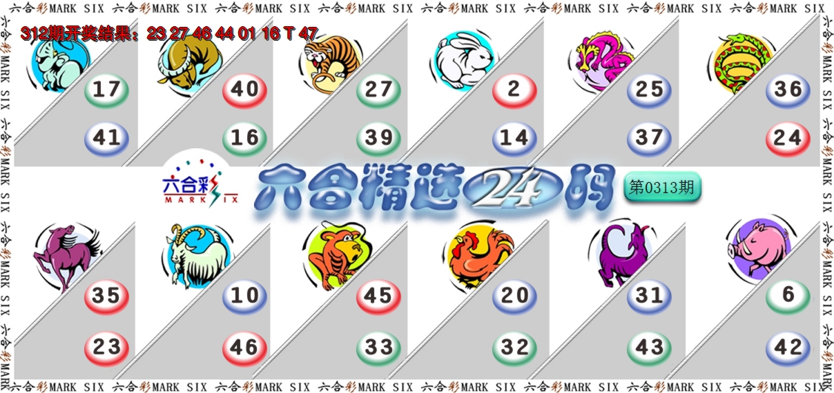 2024313期六合精选24码