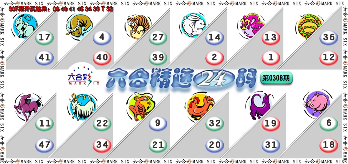 2024308期六合精选24码