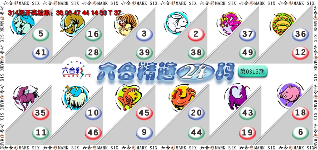 2024315期六合精选24码