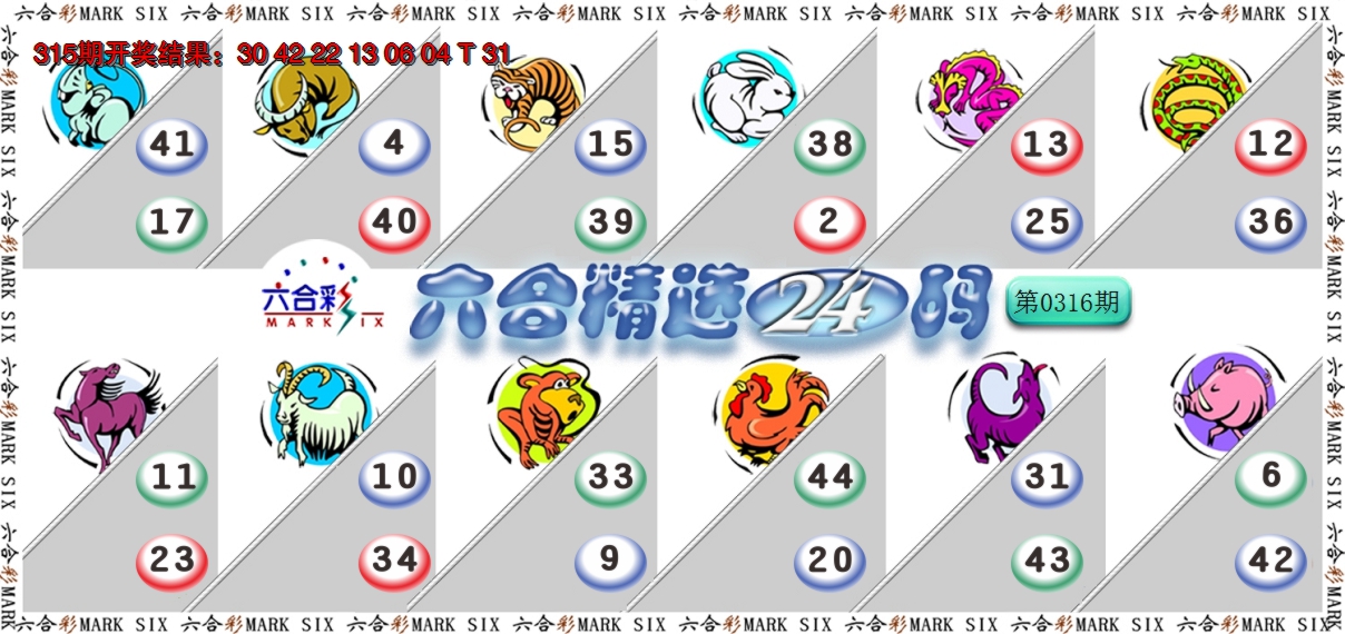 2024316期六合精选24码