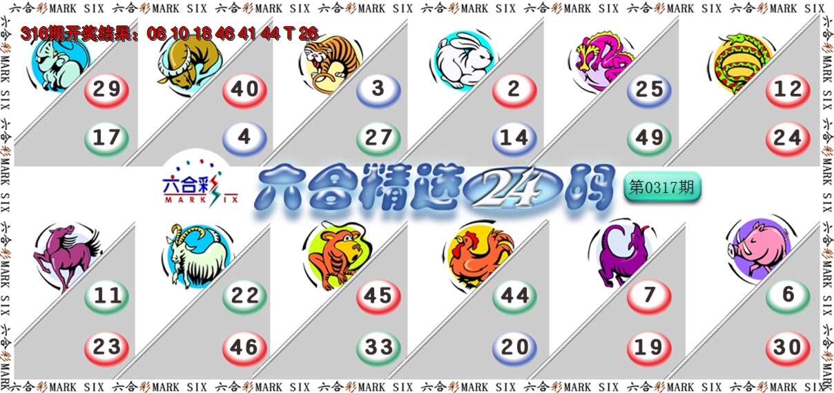 2024317期六合精选24码