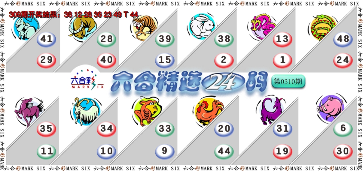 2024310期六合精选24码