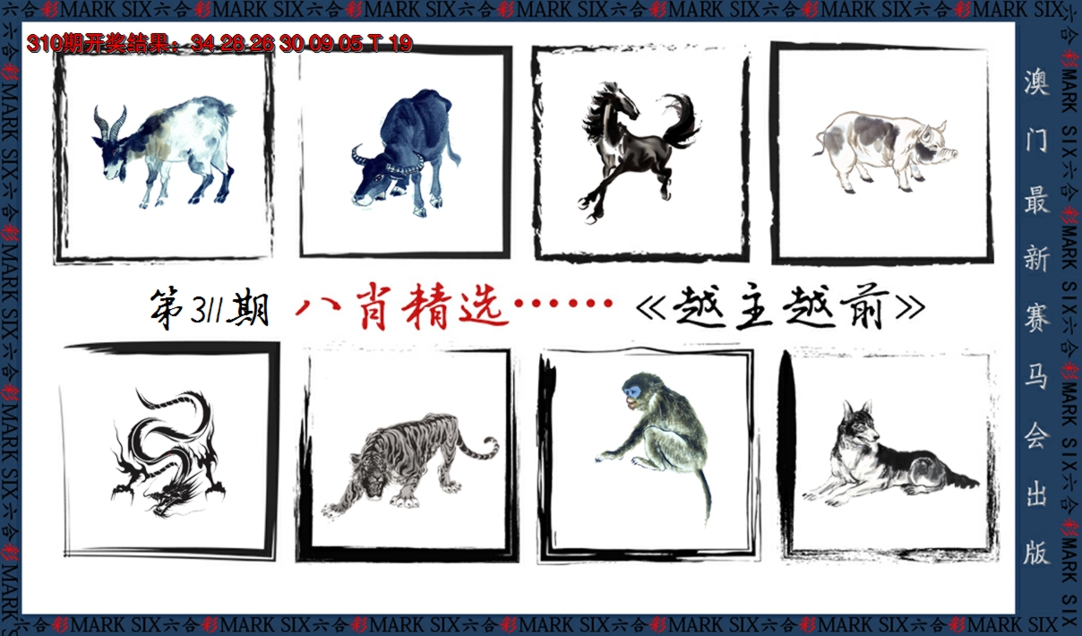 2024311期八肖精选