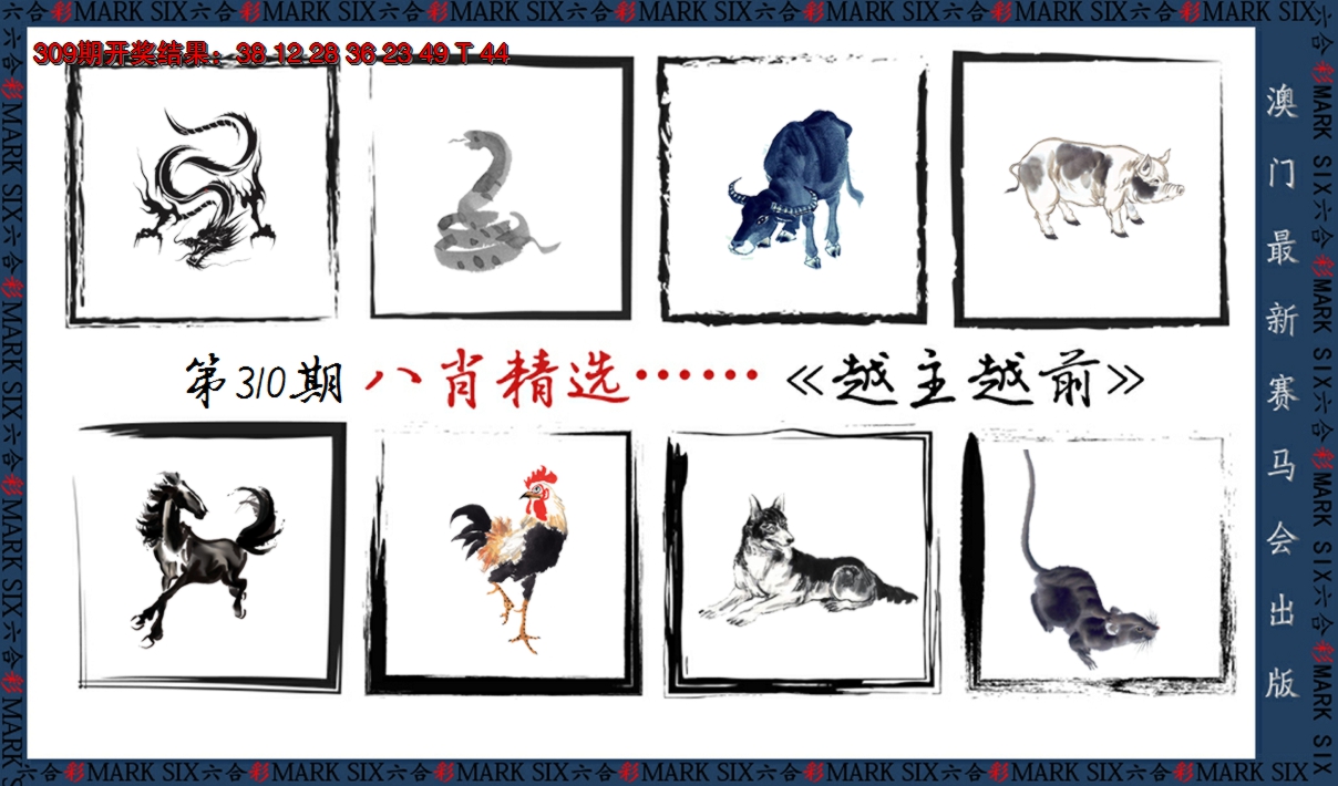2024310期八肖精选