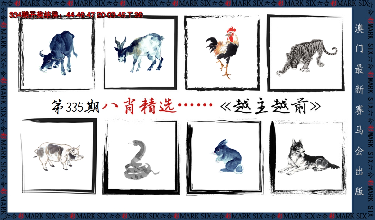 2024335期八肖精选