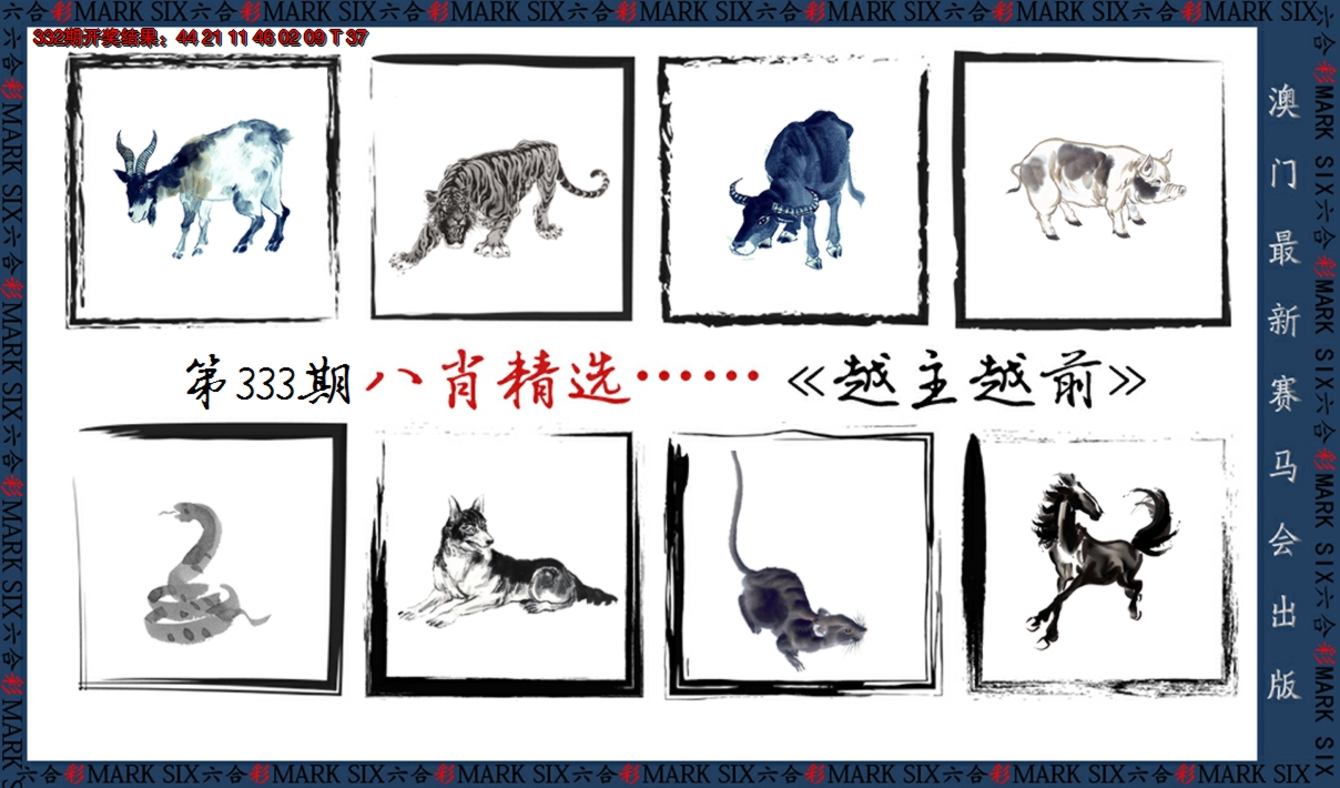 2024333期八肖精选