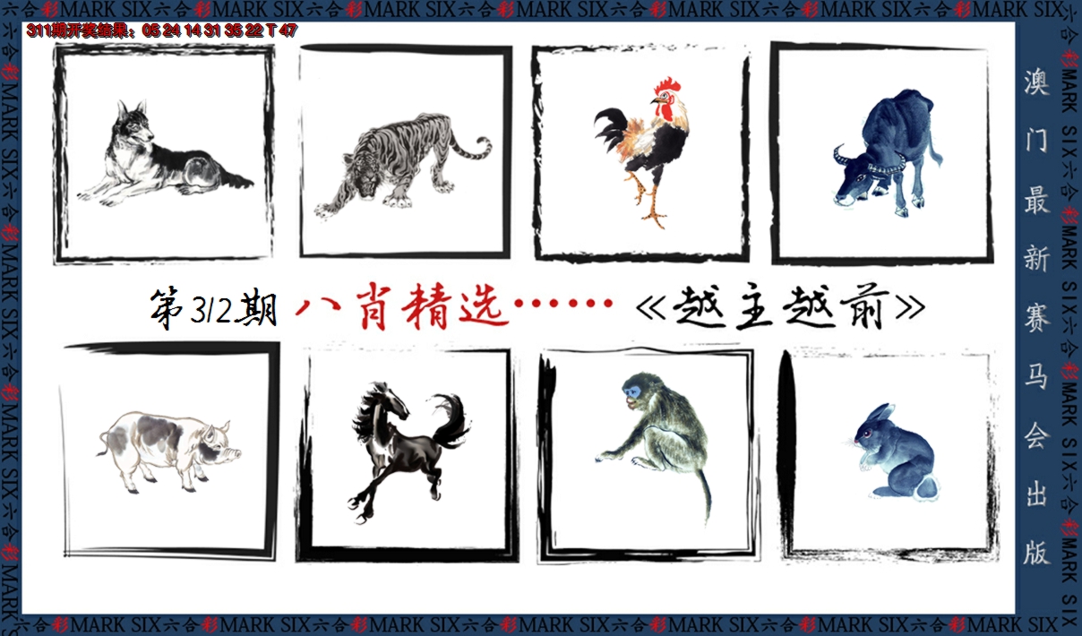 2024312期八肖精选