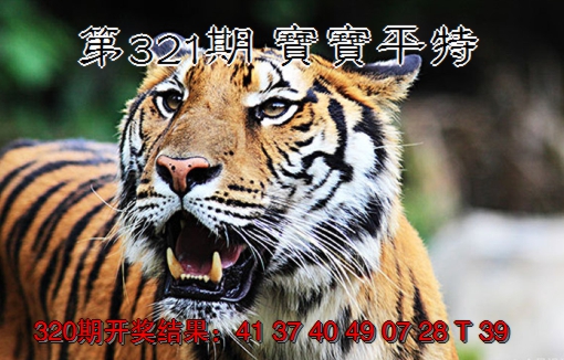 2024321期宝宝平特