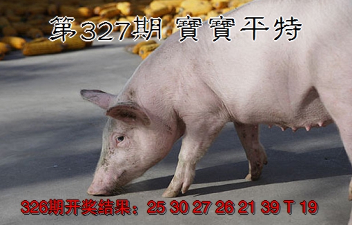2024327期宝宝平特