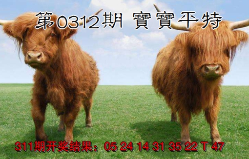 2024312期宝宝平特
