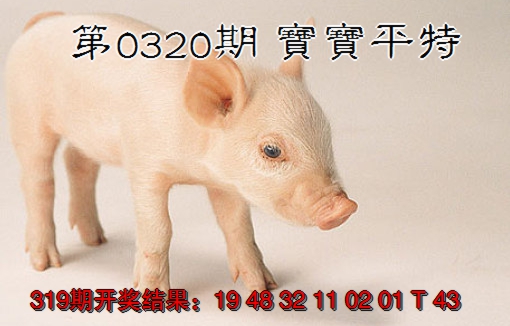 2024320期宝宝平特