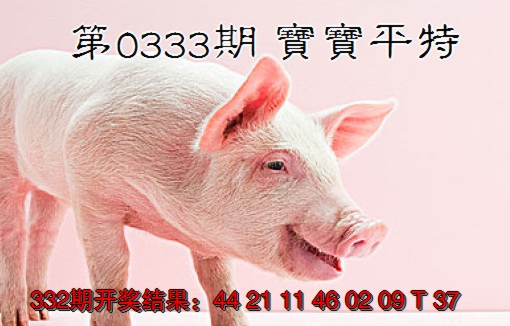 2024333期宝宝平特
