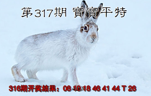 2024317期宝宝平特