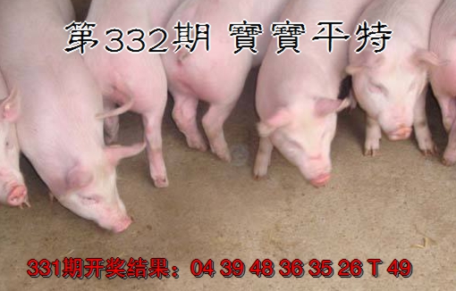 2024332期宝宝平特