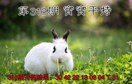 2024316期宝宝平特