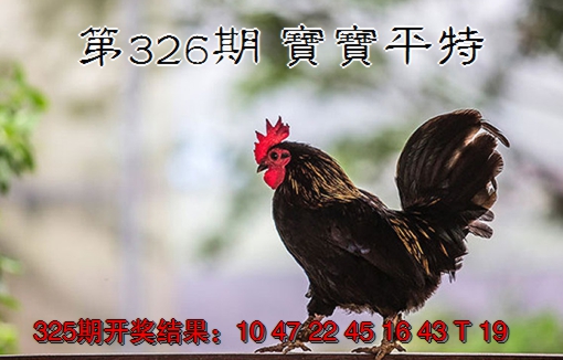 2024326期宝宝平特