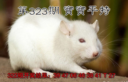 2024323期宝宝平特