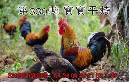 2024330期宝宝平特