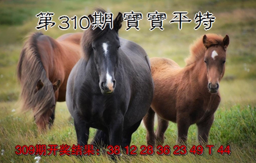 2024310期宝宝平特