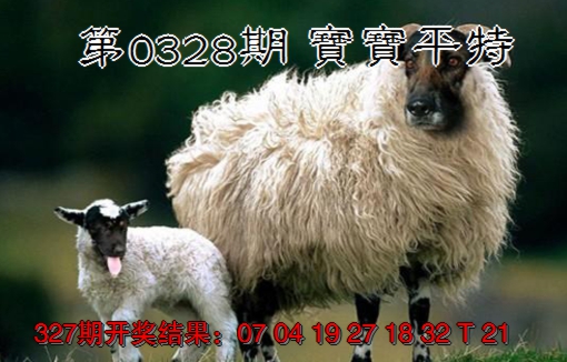 2024328期宝宝平特