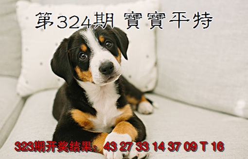 2024324期宝宝平特