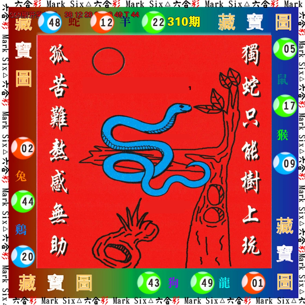 2024310期藏宝图