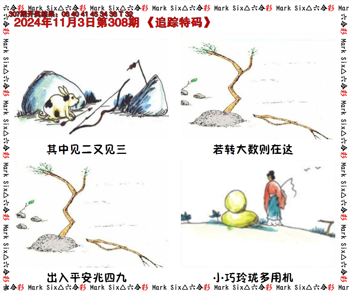 2024308期追踪特码