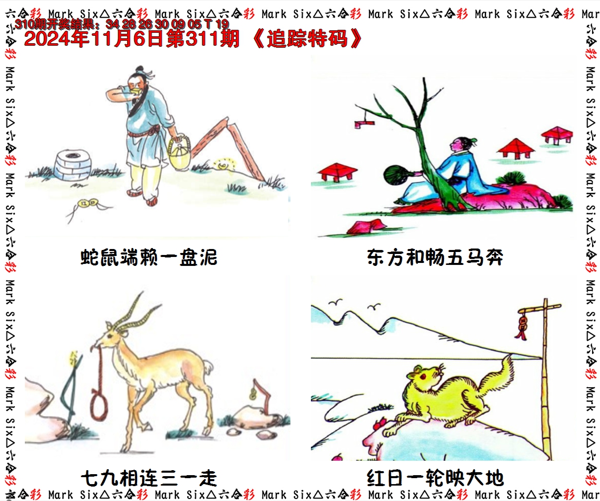2024311期追踪特码