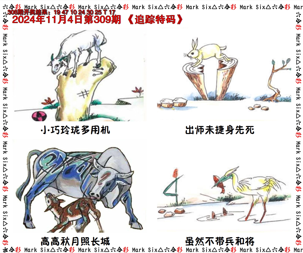 2024309期追踪特码