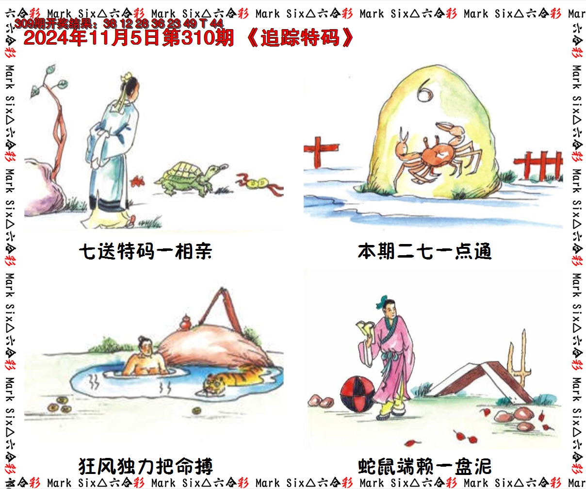 2024310期追踪特码