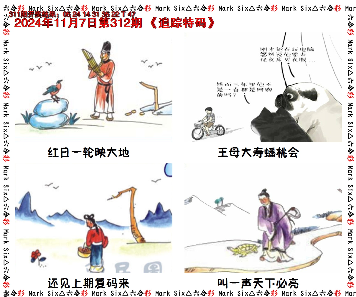 2024312期追踪特码