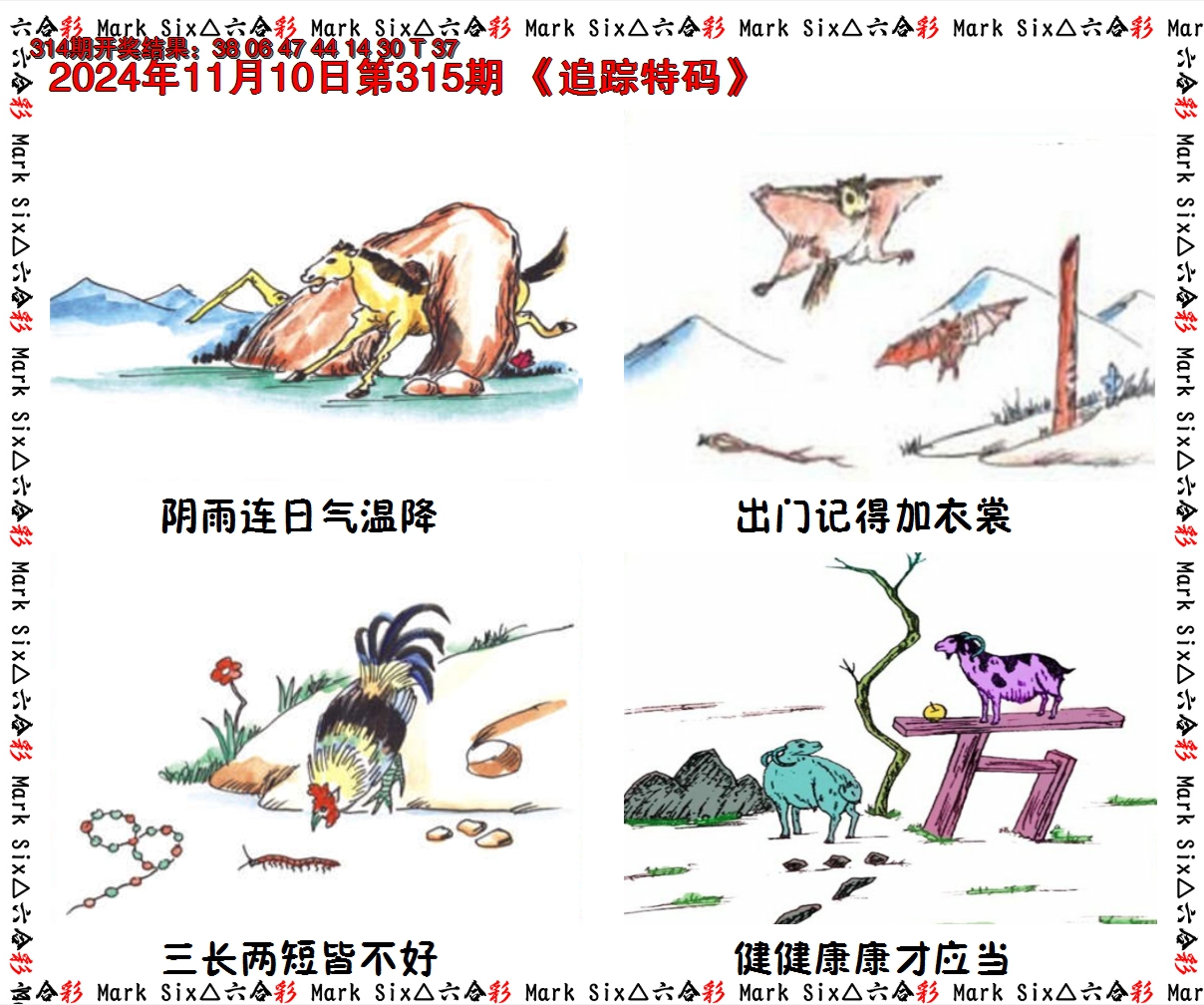 2024315期追踪特码