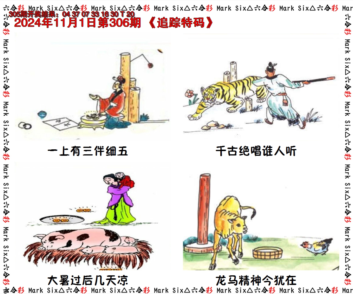 2024306期追踪特码
