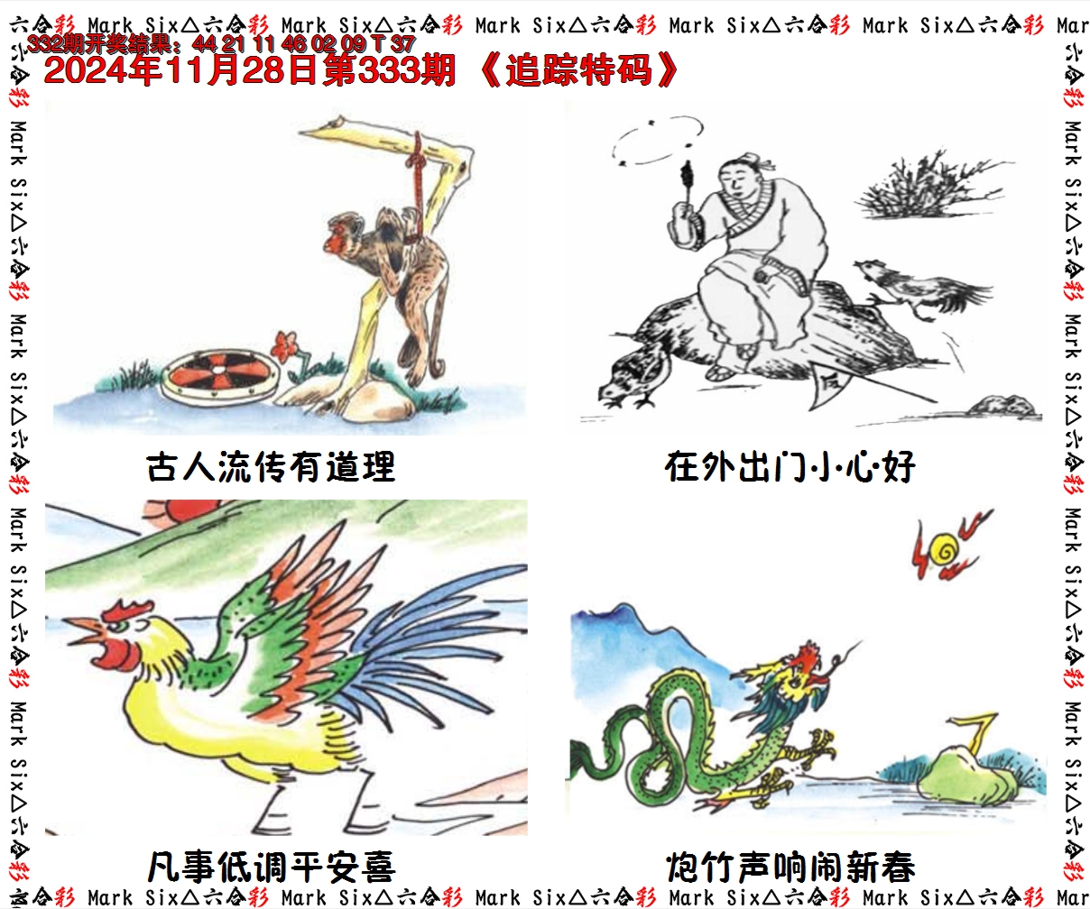 2024333期追踪特码