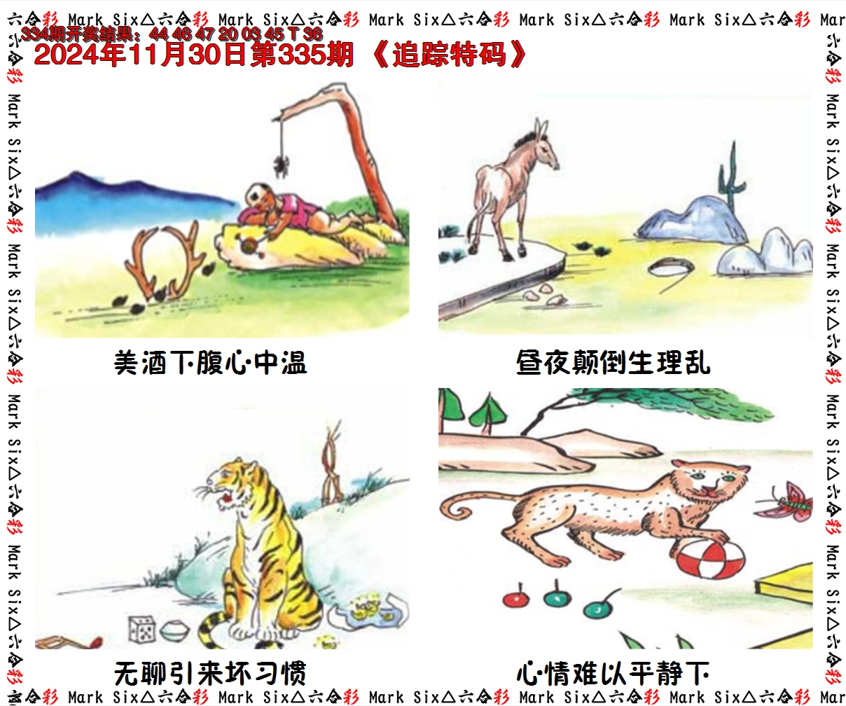 2024335期追踪特码