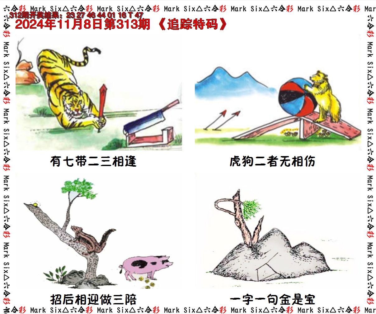 2024313期追踪特码