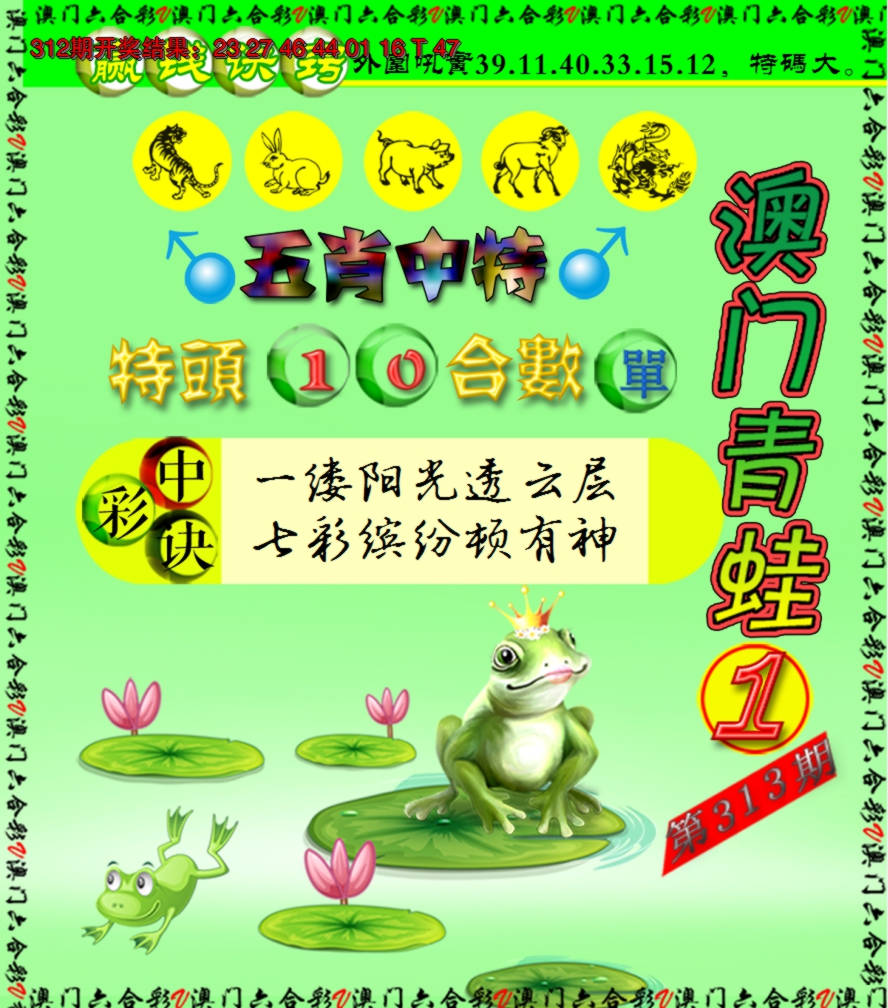 2024313期青蛙系列1