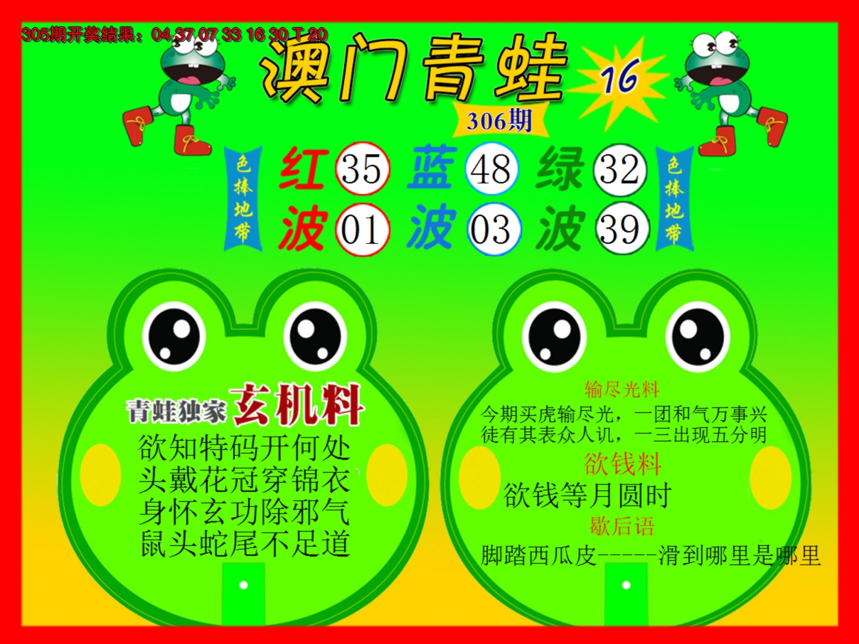2024306期青蛙系列16