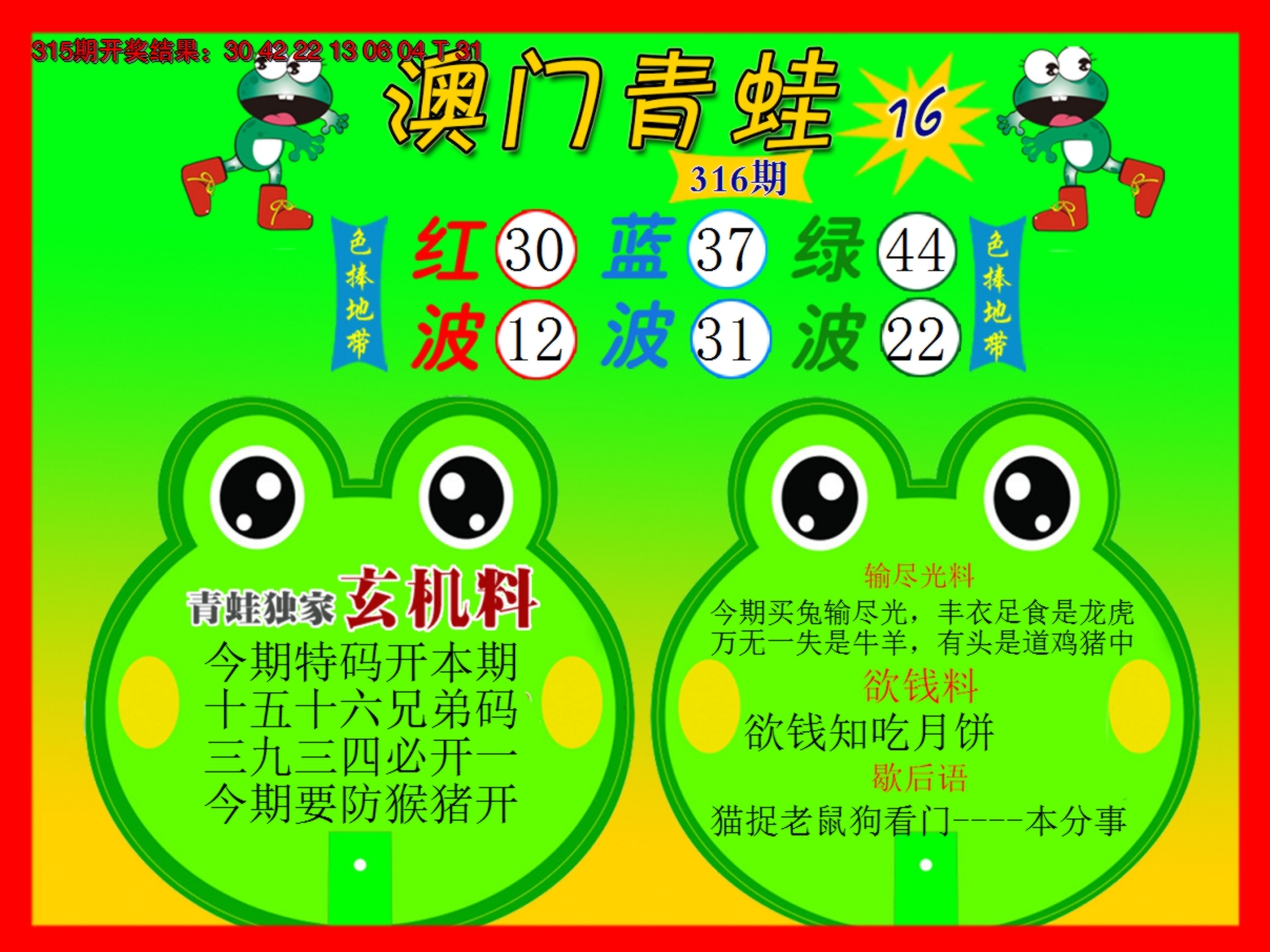 2024316期青蛙系列16