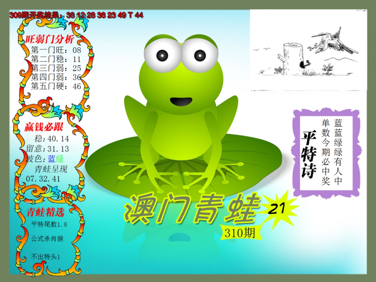 2024310期青蛙系列21