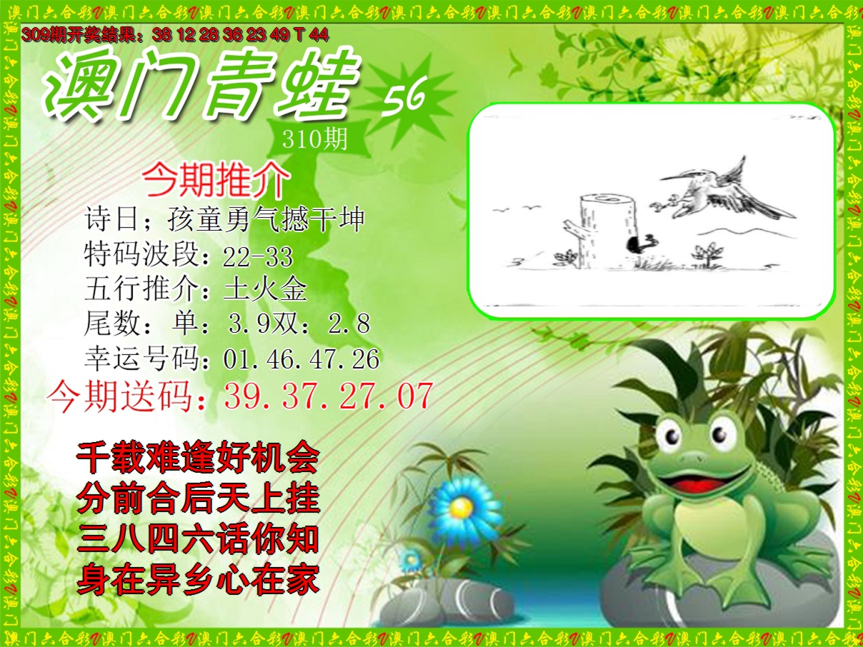 2024310期青蛙系列56
