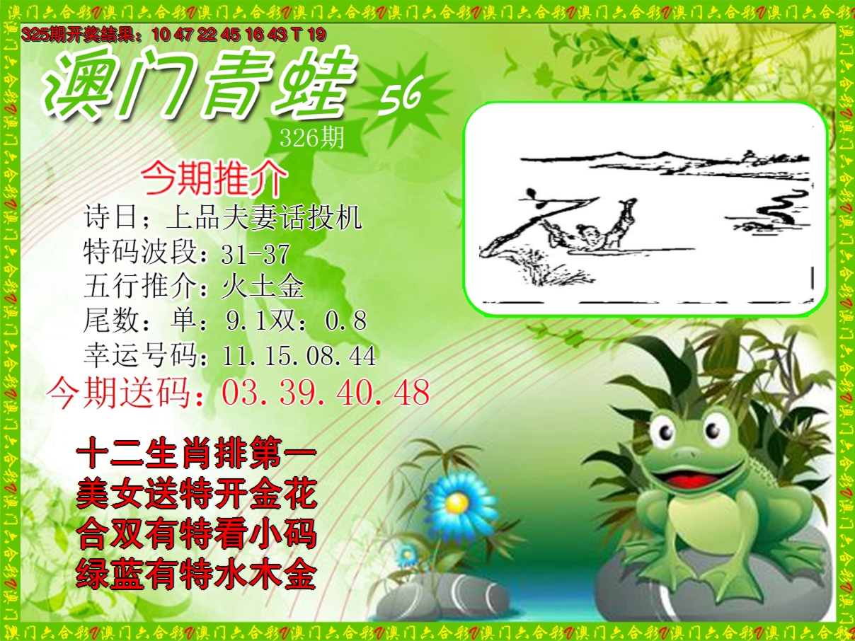 2024326期青蛙系列56