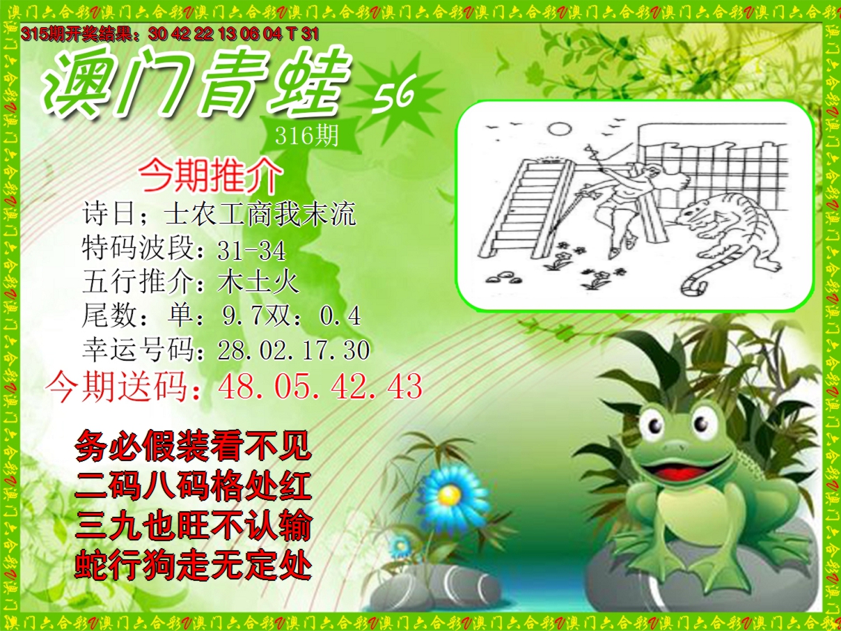 2024316期青蛙系列56