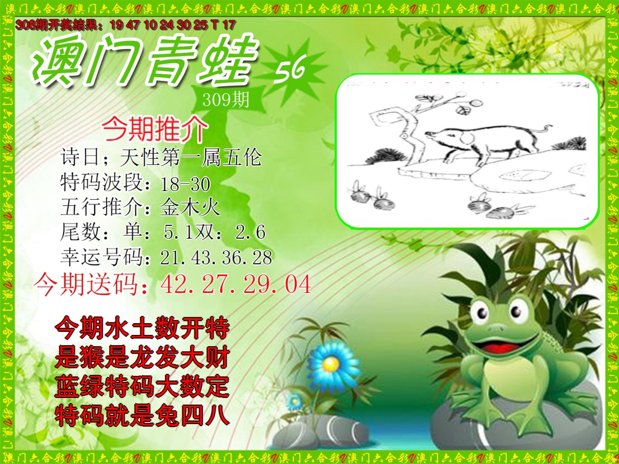 2024309期青蛙系列56