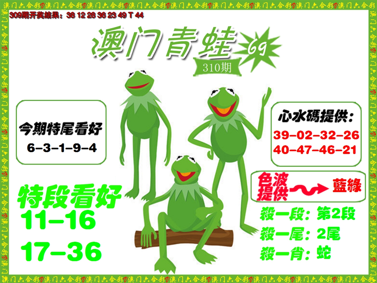 2024310期青蛙系列69