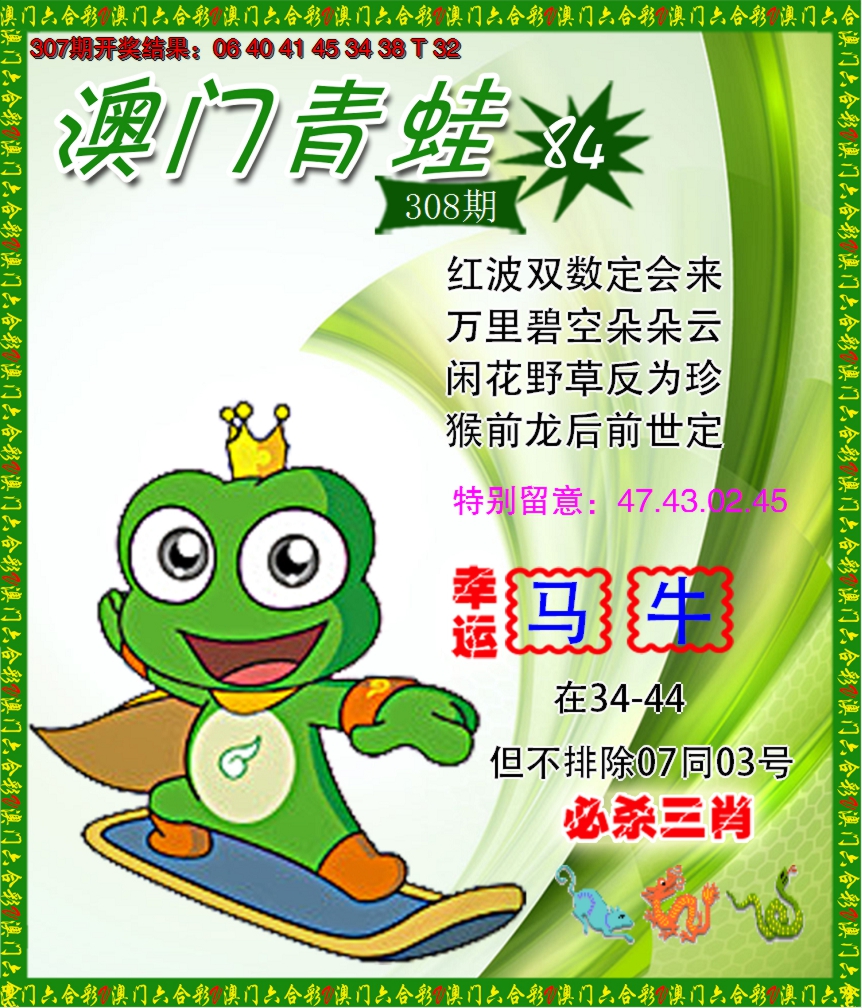 2024308期青蛙系列84