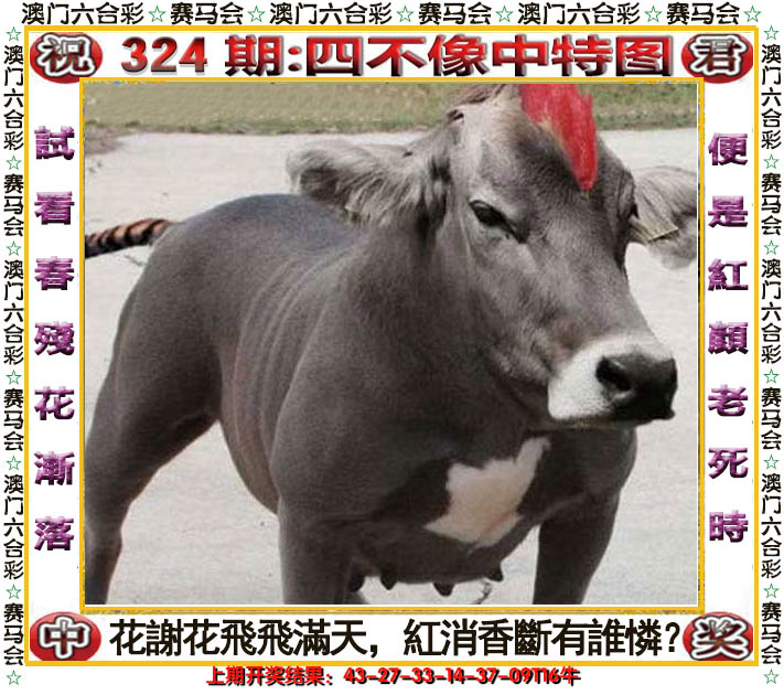 2024324期四不像中特图