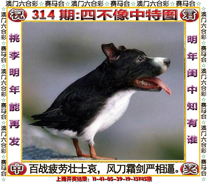 2024314期四不像中特图