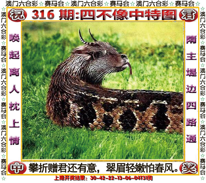2024316期四不像中特图